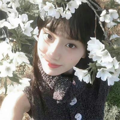 中央公园第三季